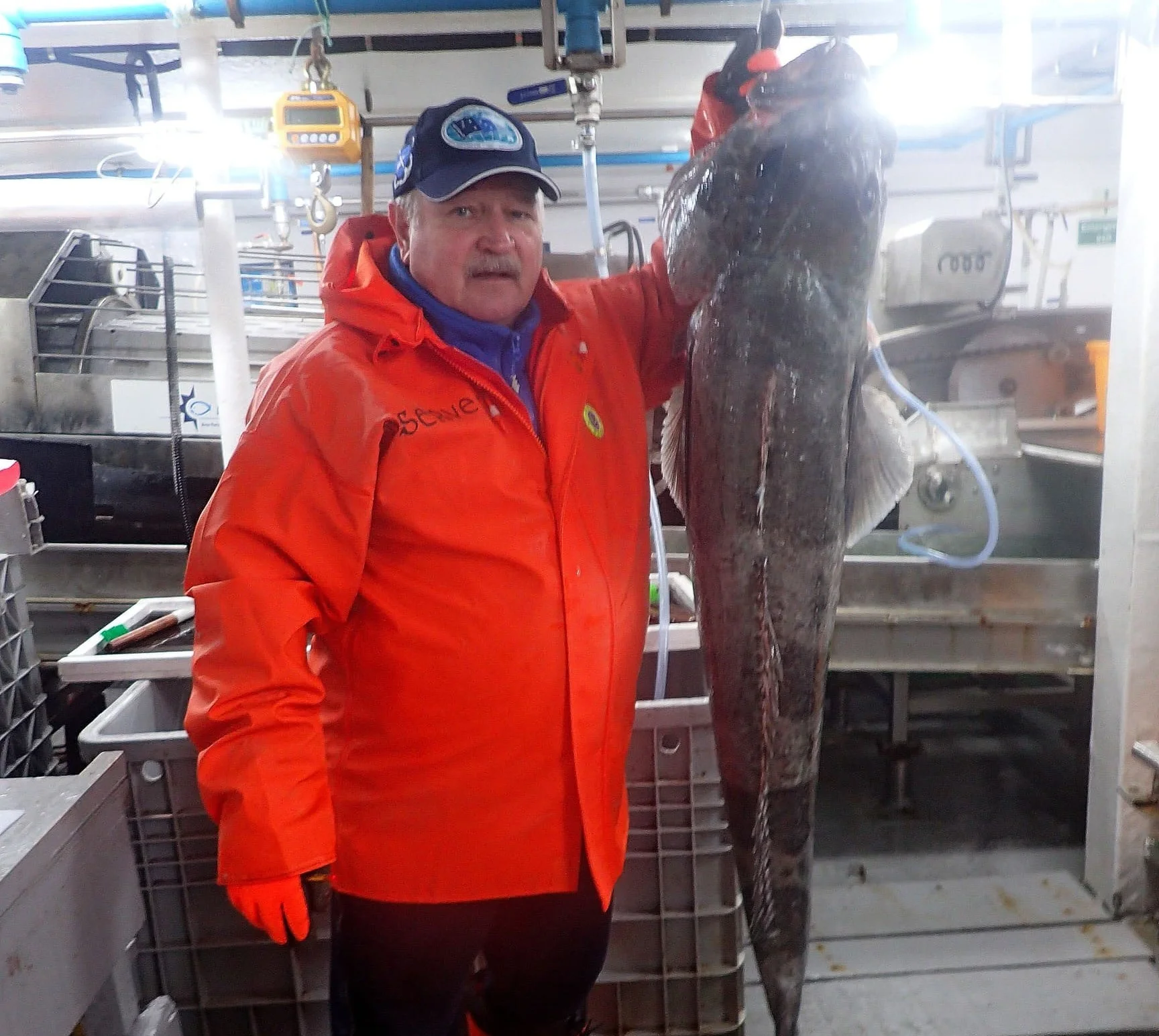 Невероятных размеров клыкача поймал в Антарктиде сотрудник ростовского НИИ