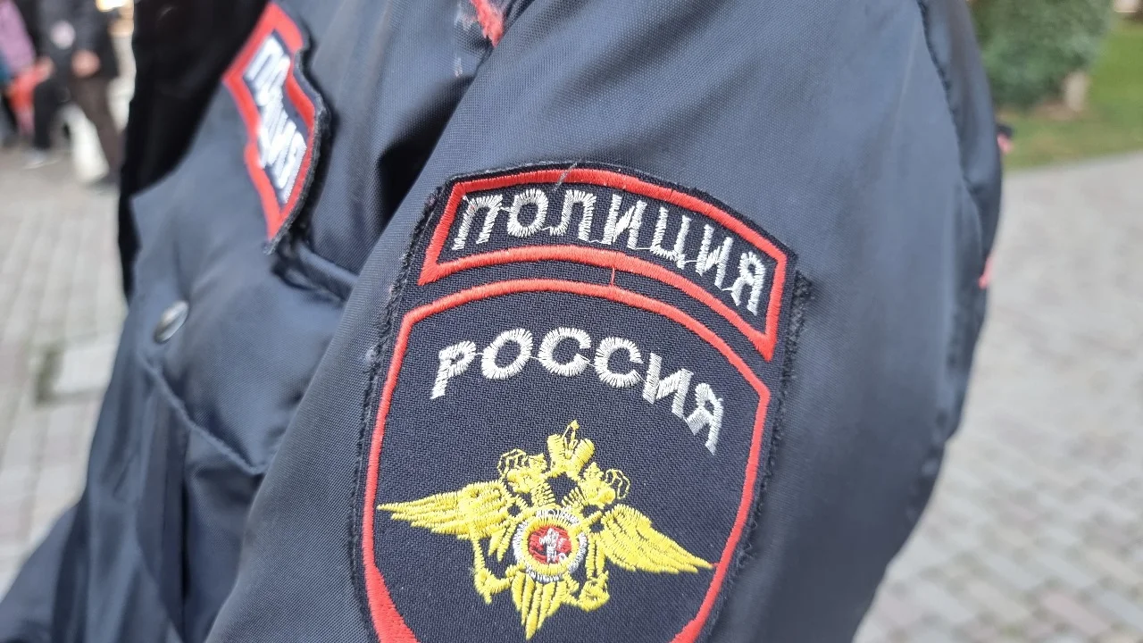 В Ростове полиция проводит проверку из-за массовой драки ночью в парке Горького
